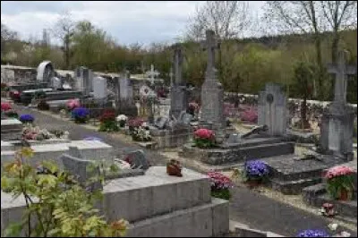 Quel animal cause le plus de victimes chaque année dans le monde ?