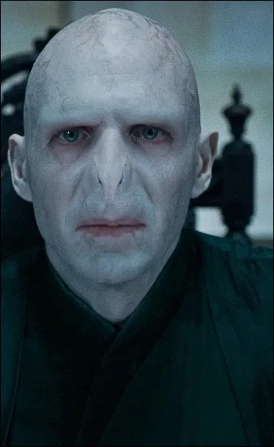 Qui est l'ennemi d'Harry Potter ?