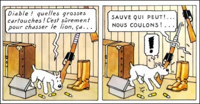 Toujours dans "Tintin au Congo" (page 2), il y a quelque chose qui saute au yeux, non ?
