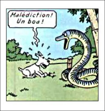 Il faut croire que la panique fait perdre à notre héros tout sens de la raison quant à la faune locale !