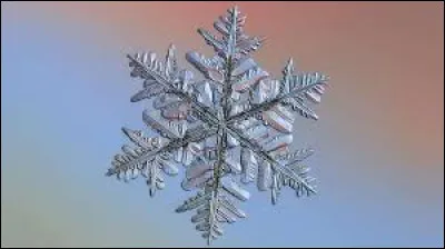 Quel est l'opposé polaire du Sagittaire ?