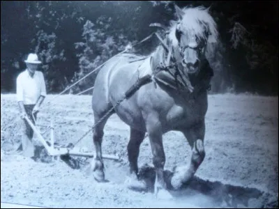 Varxenne est un vieux mot qui voulait dire...