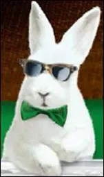 Ce lapin trs mignon est la mascotte d'une marque de :