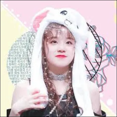 Quel est ton animal préféré ?