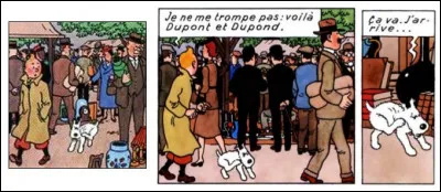 Rappelez-vous la sc&egrave;ne du march&eacute;, dans "Le Secret de la Licorne" : Milou se gratte, mais... mais... Quoi, mais ?