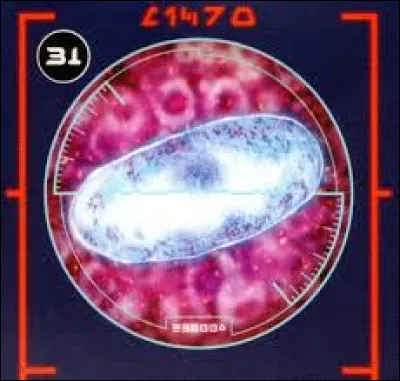 Lequel de ces personnages a un taux de midi-chloriens particulièrement élevé ?