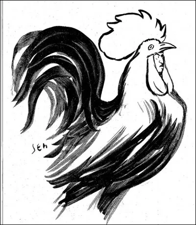 De qui est la phrase "La Haine est un carcan, mais c'est une auréole" ?