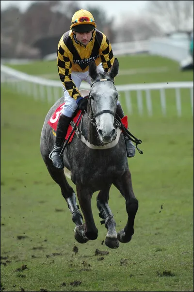 La Condottière est un roman de...