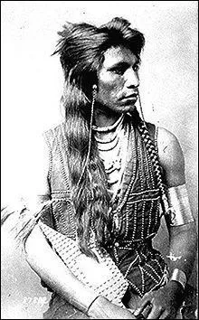 O vivent les Shoshones ?