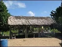 Quel peuple amrindien vivait traditionnellement dans une hutte  fosse ?