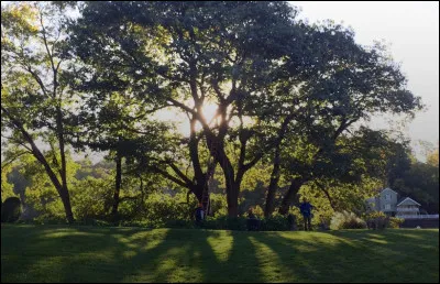 Tu es perdu(e) dans la forêt. Que fais-tu ?