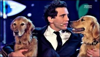 Comment s'appellent ses chiens ?