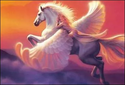 Quelle est ta plus grande qualité ?