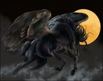 Quel est est ton pire défaut ?