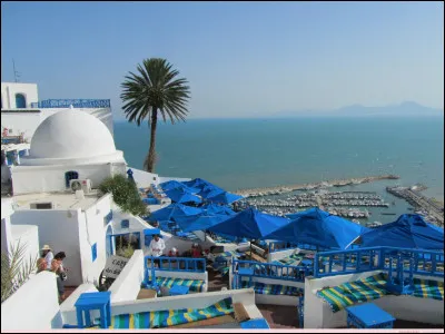 Dé comme délice : qui chantait "Au café des Délices" ?