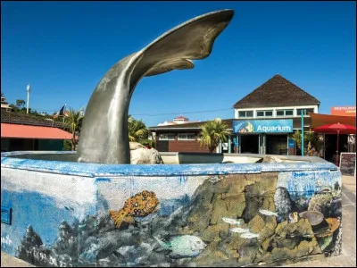 Cette fontaine représente la queue d'un animal des océans. Laquelle ?