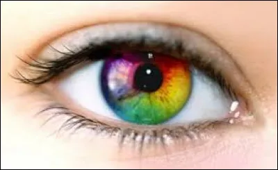Quelle est la couleur de tes yeux ?