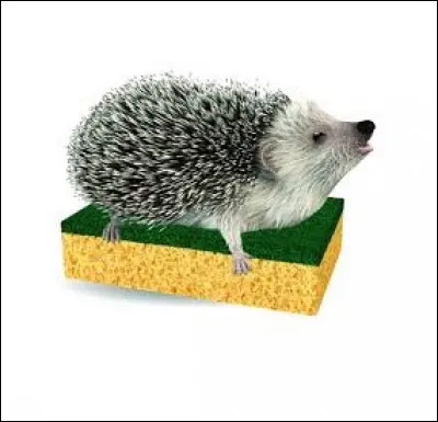 Connaissez-vous le petit nom du hérisson polisson de la marque Spontex ?