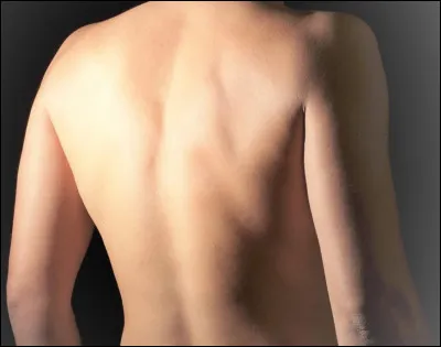 Comment dit-on "dos" en anglais ?