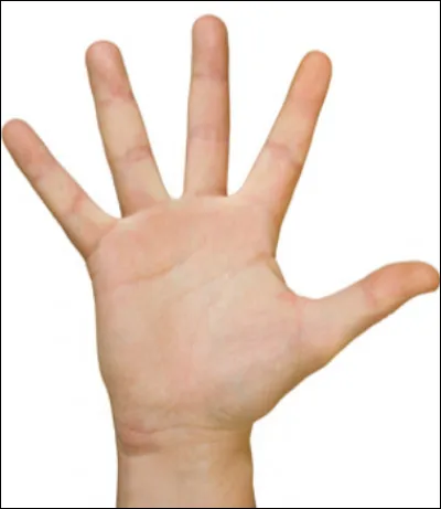 Comment dit-on "main" en anglais ?