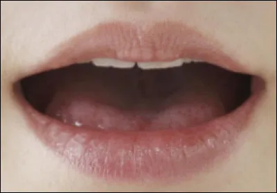 Comment dit-on "bouche" en anglais ?