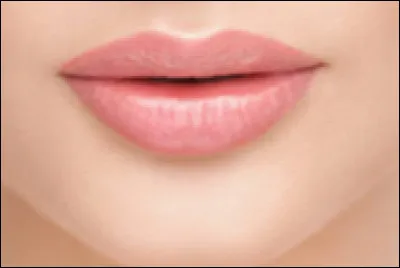 Comment dit-on "lèvres" en anglais ?