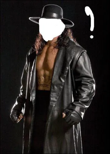 The DeadMan, The Phenom, 18 victoires  Wrestlemania pour 18 participations...