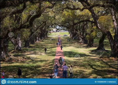 Que sont les Quatre Chênes ?