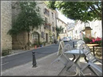 Nous sommes en Occitanie &agrave; La Vacquerie-et-Saint-Martin-de-Castries. Commune de l'arrondissement de Lod&egrave;ve, elle se situe dans le d&eacute;partement ...