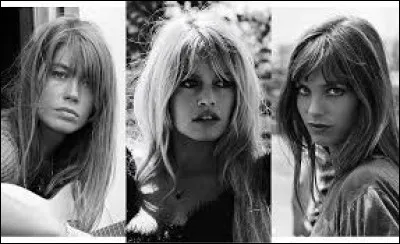 Pour qui Serge Gainsbourg avait-il écrit la chanson "Je t'aime, moi non plus" ?