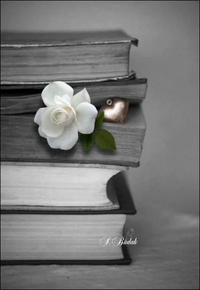 À qui devons-nous la devise philosophique "Connais-toi toi-même" ?