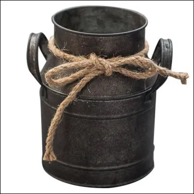 Un chien emp&ecirc;che d'en sortir, ce sont les...