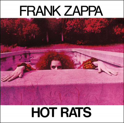 "Rats chauds" (Hot Rats) est un album-concept publié en 1969 qui comprend le génial "Peaches en Regalia" (sans doute l'un des morceaux les plus célèbres de Zappa) est un pont musical entre le rock et ?