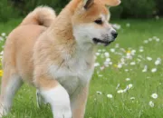 Quiz Culture gnrale : les animaux