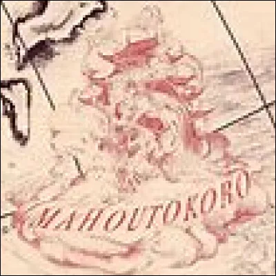 Selon Ollivander, quel bois de baguette est le plus apprécié par les élèves de Mahoutokoro ?