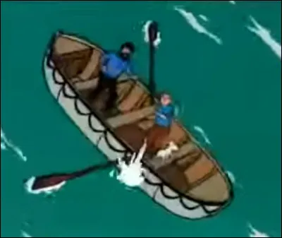 Quelle est la couleur de l'hydravion qui tire sur Tintin et le capitaine ?