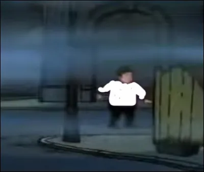 Quelle est la couleur du pull de cette personne  ?