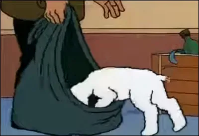 Que trouve Milou dans le sac de ce monsieur ?