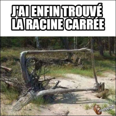 L'aire d'un carré :