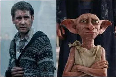 Dans le livre, Dobby donne une branchiflore à Harry, mais dans le film, c'est Neville qui donne la branchiflore.