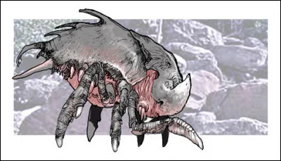 La tête du Scrout n'a pas la même couleur que son corps. De quelle couleur est-elle ?