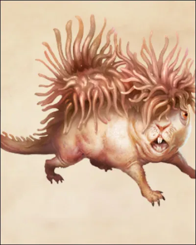 De quoi se nourrit-il principalement ?