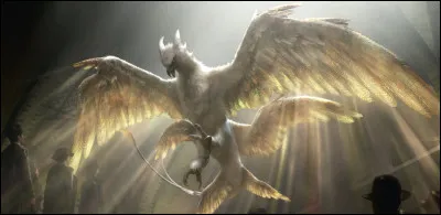 De quelle couleur sont les yeux de l'oiseau tonnerre ?