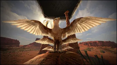 Quelle est sa classification MdlM ?