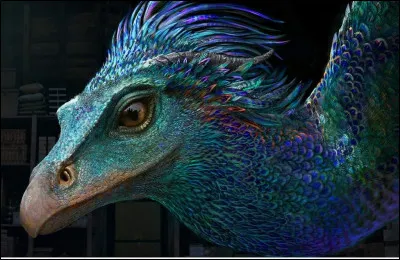 De quelle couleur sont ses oeufs ?