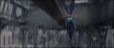 Quelle est la classification MdlM du Biliwing ?