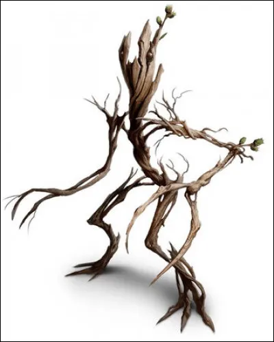 Quel est le lieu de vie principal des Botrucs ?