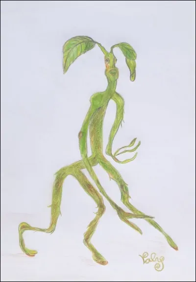 Quelle est la classification du Botruc par le ministère de la Magie ?