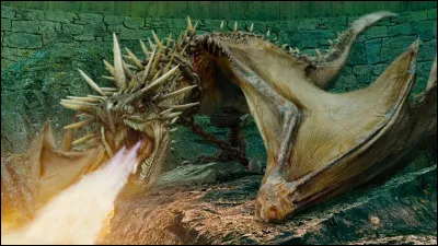 Combien existe-t-il de "grandes" espèces de dragons ?