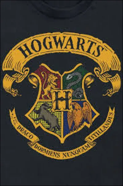 Arrivé(e) à Poudlard, tu entres dans la Grande salle où commence la répartition des premières années. Tu n'y fais pas vraiment attention et repenses plutôt au moment où, il y a 6 ans, tu entendais le Choixpeau magique annoncer ta maison :